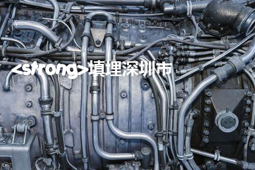 <strong>填埋深圳市危險(xiǎn)廢物處理站有限公司化工設(shè)施安全解體：如何高效處理復(fù)雜工業(yè)遺留問(wèn)題？</strong>